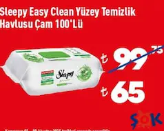 SLEEPY EASY CLEAN YÜZEY TEMİZLİK HAVLUSU CAM 100'LÜ